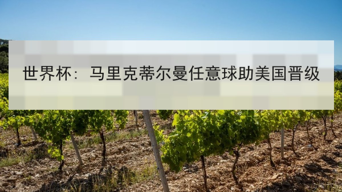 世界杯: 马里克蒂尔曼任意球助美国晋级