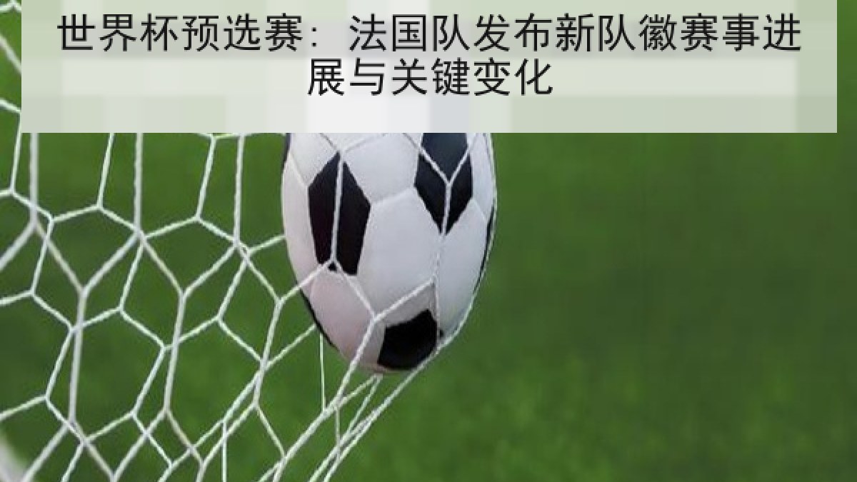 世界杯预选赛: 法国队发布新队徽赛事进展与关键变化