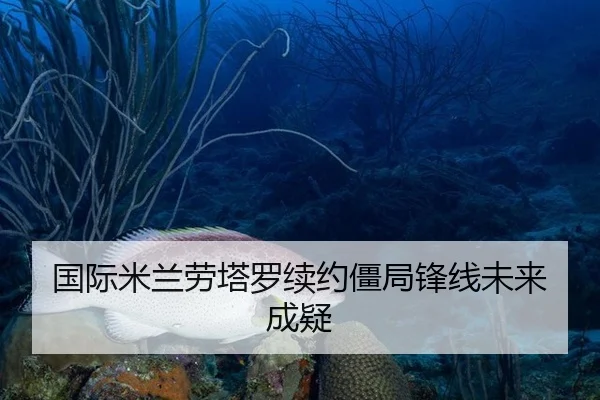国际米兰劳塔罗续约僵局锋线未来成疑