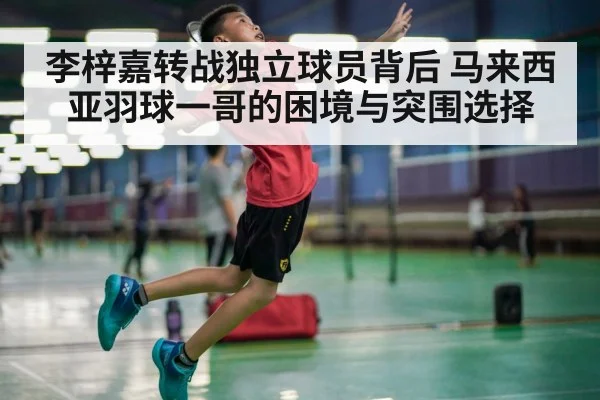 李梓嘉转战独立球员背后 马来西亚羽球一哥的困境与突围选择