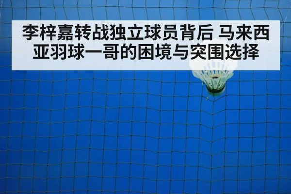 badminton shuttlecock on court
