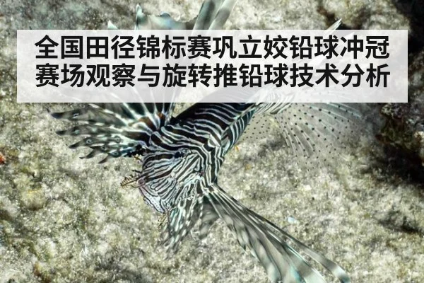 全国田径锦标赛巩立姣铅球冲冠赛场观察与旋转推铅球技术分析